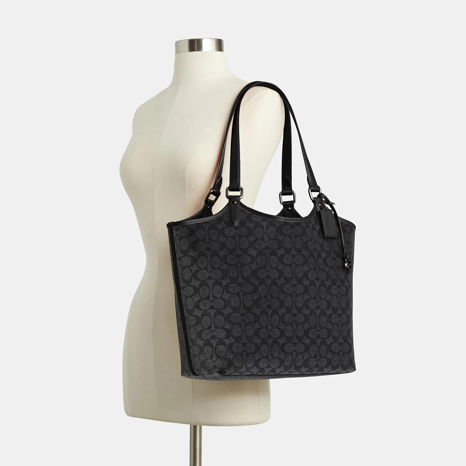 COACH Day Tote